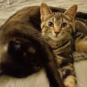 Meet your Posher, Miriam